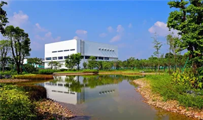 בהנחיית אסטרטגיית 