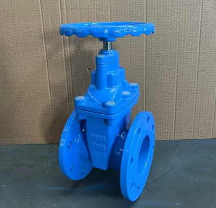 ברזל רקיע שסתום שער גזע עולה DN100